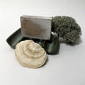 Sidr Leaf Soap — Hand-Poured Botanical Bar