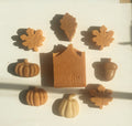Pumpkin Pie — Hand-Poured Botanical Bar